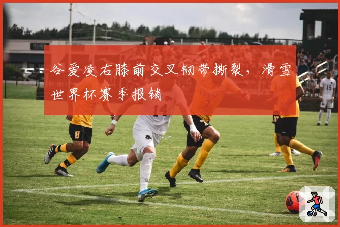 谷爱凌右膝前交叉韧带撕裂，滑雪世界杯赛季报销