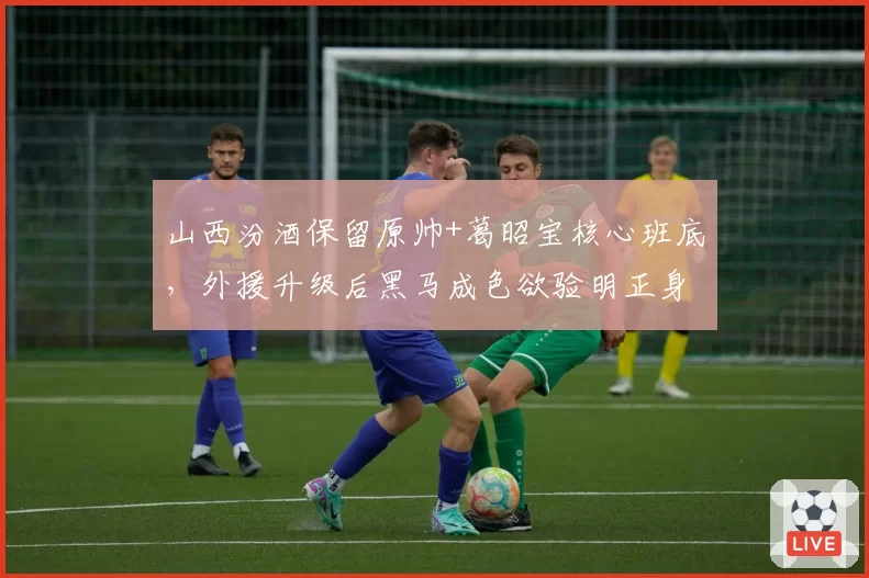 山西汾酒保留原帅+葛昭宝核心班底,外援升级后黑马成色欲验明正身