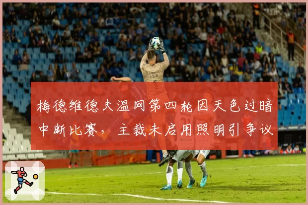 梅德维德夫温网第四轮因天色过暗中断比赛，主裁未启用照明引争议