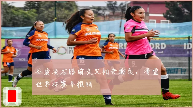 谷爱凌右膝前交叉韧带撕裂，滑雪世界杯赛季报销