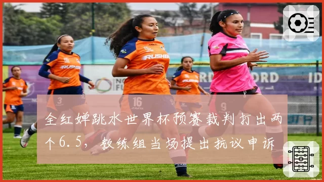全红婵跳水世界杯预赛裁判打出两个6.5,教练组当场提出抗议申诉