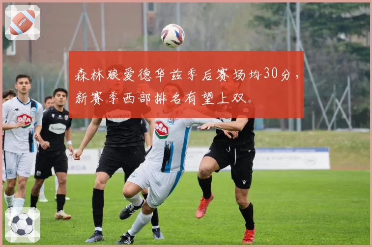 森林狼爱德华兹季后赛场均30分，新赛季西部排名有望上双。