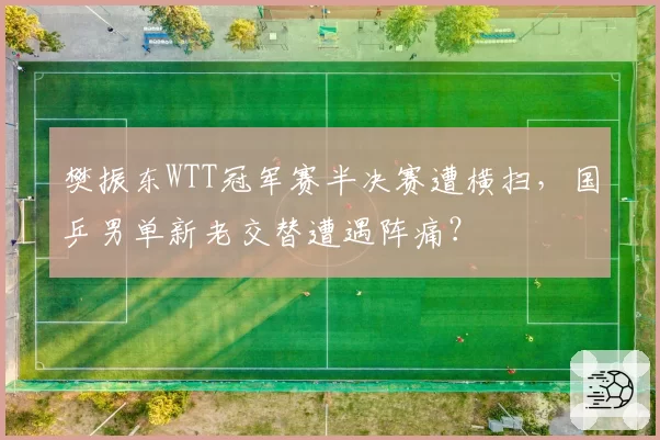 樊振东WTT冠军赛半决赛遭横扫,国乒男单新老交替遭遇阵痛?
